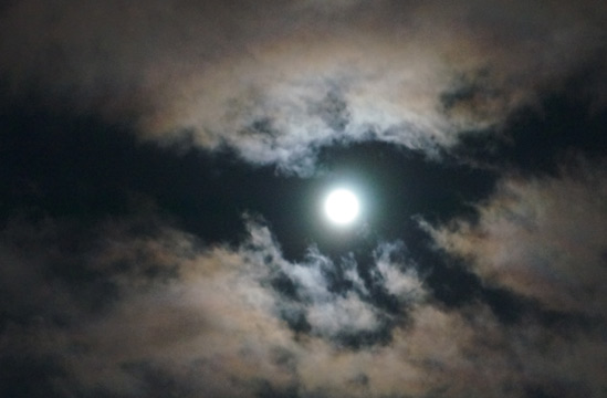 L'occhio d'argento della luna